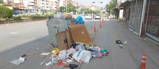 shtrenjtohet-grumbullimi-i-mbeturinave-keshilli-komunal-i-kumanoves-pranoi-propozimin-e-np-pastrimi-dhe-gjelberimi