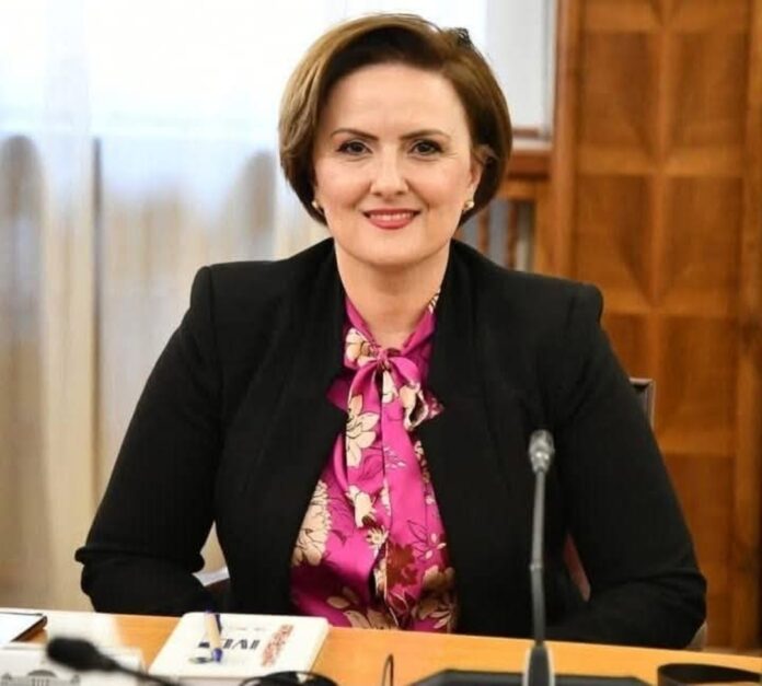 BDI  Sulmi verbal ndaj Arbana Pashollit  pasqyrë e mentalitetit politik të Qeverisë pa legjitimitet etnik