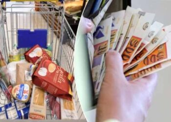 Me 1.000 denarë dikur bëje pazarin, sot mezi kalon arkën!